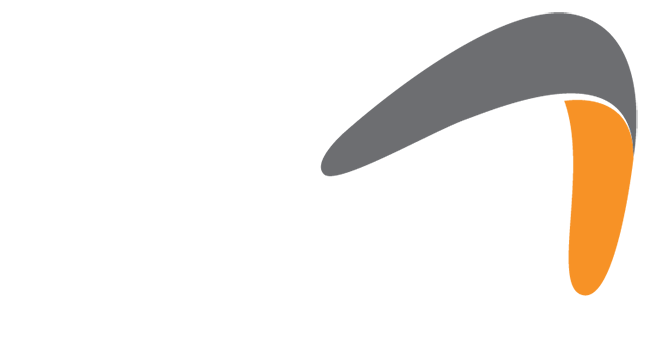 logotipo de Flyve